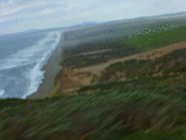 frisco gif